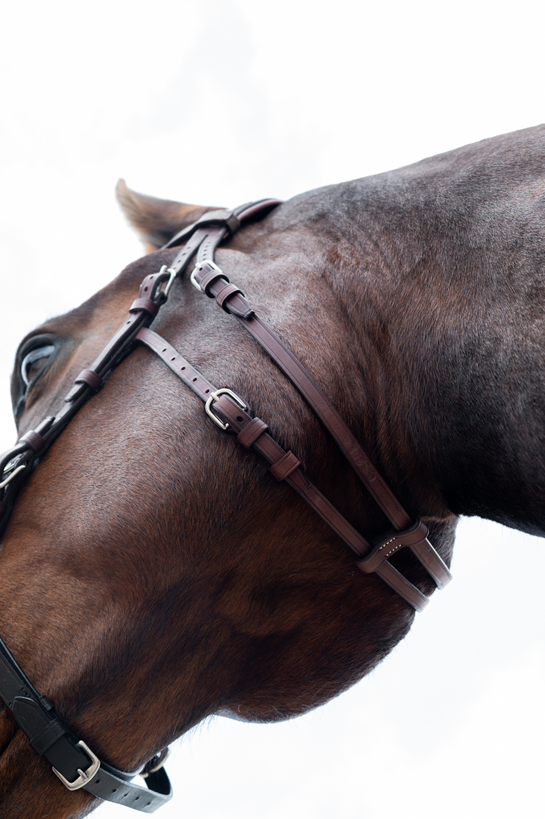 CWD Hackamore