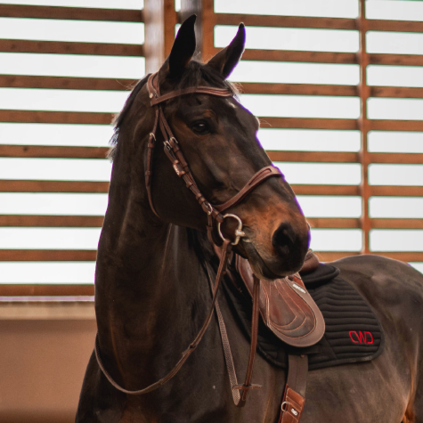 CWD Träns FlexMotion
