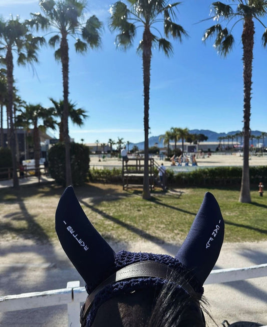 Huva Soundless "I Believe I Can Fly"