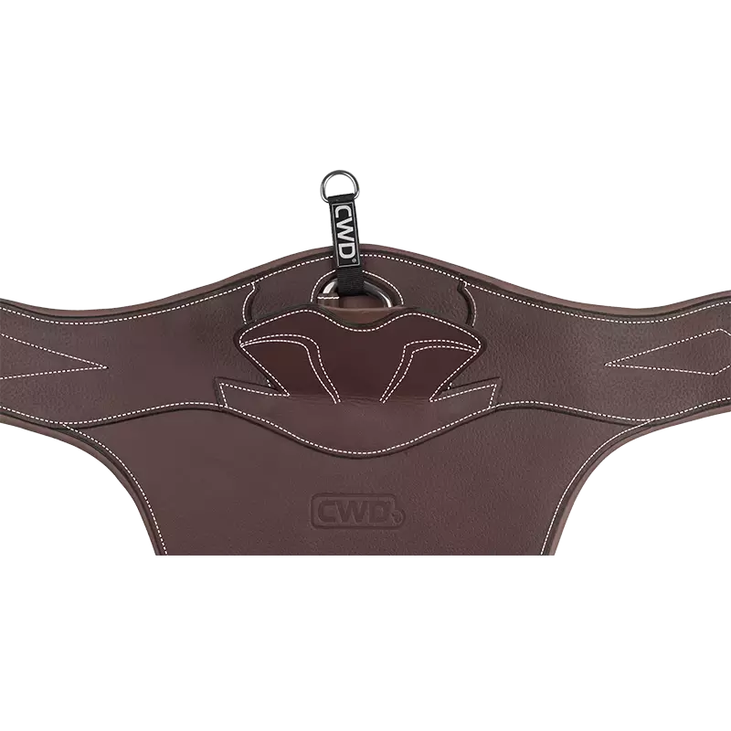 CWD-magplattegjord-Lead-Sports