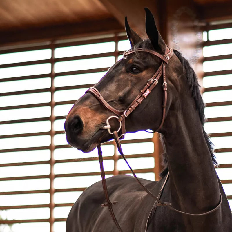 CWD Träns FlexMotion