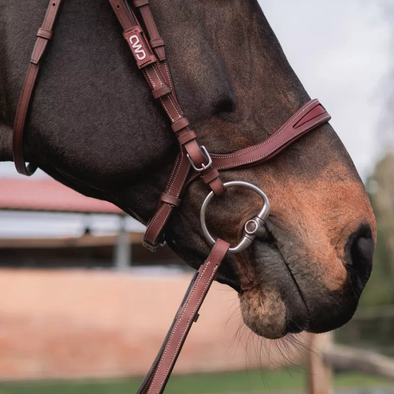 CWD Träns FlexMotion