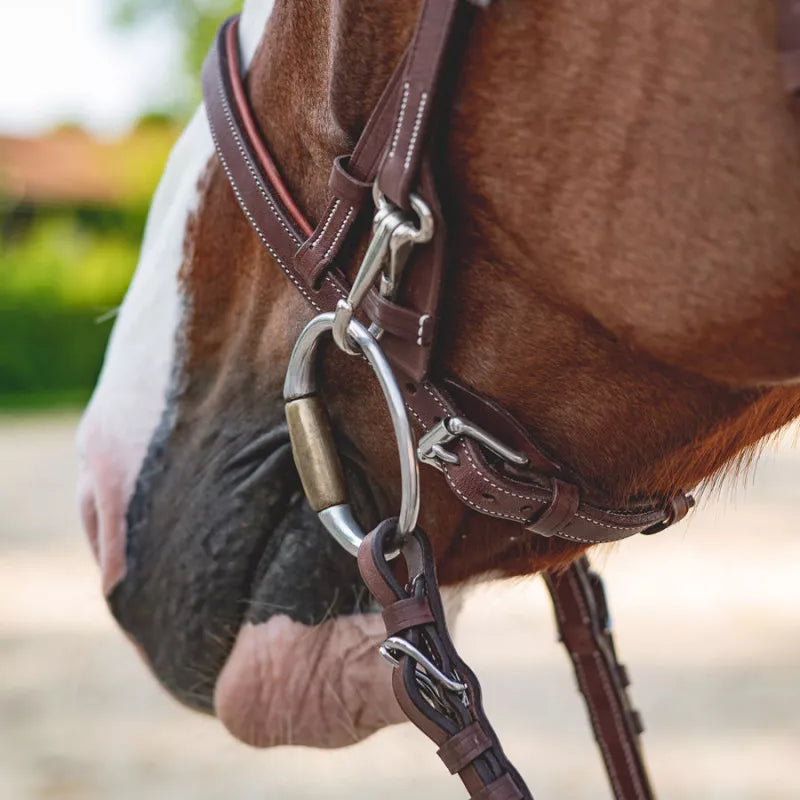 CWD Träns "Working Bridle"