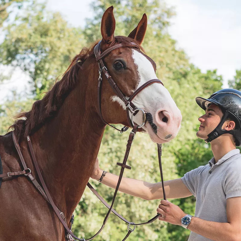 CWD Träns "Working Bridle"