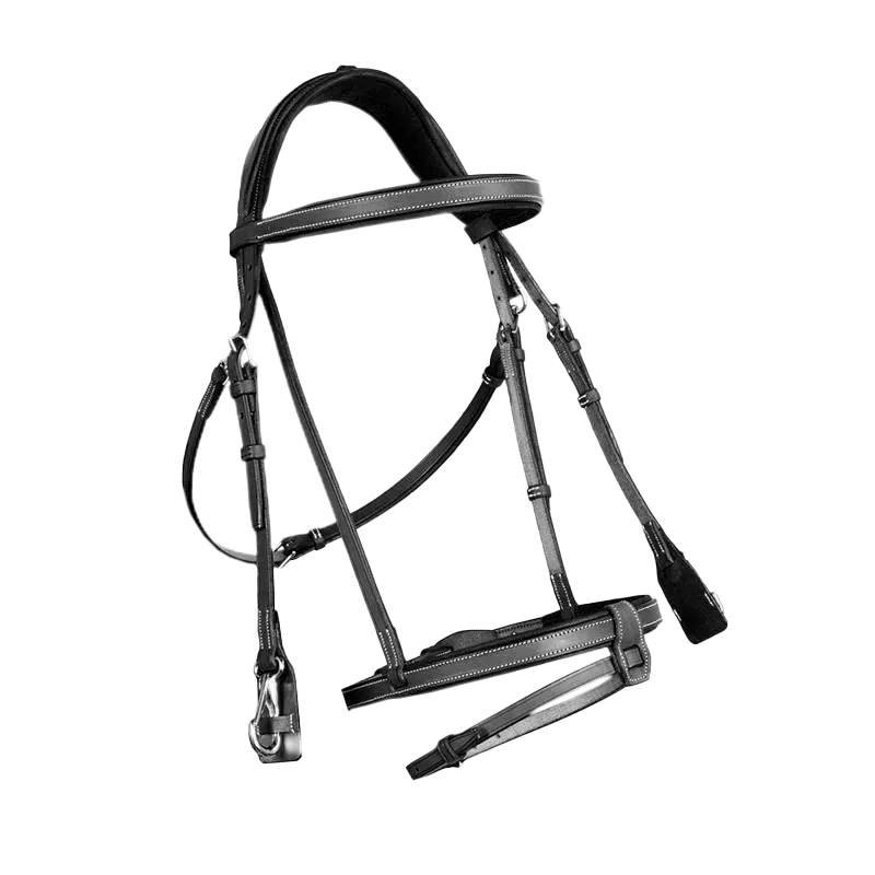 CWD Träns "Working Bridle"