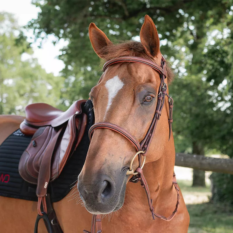 CWD Repair neushalster