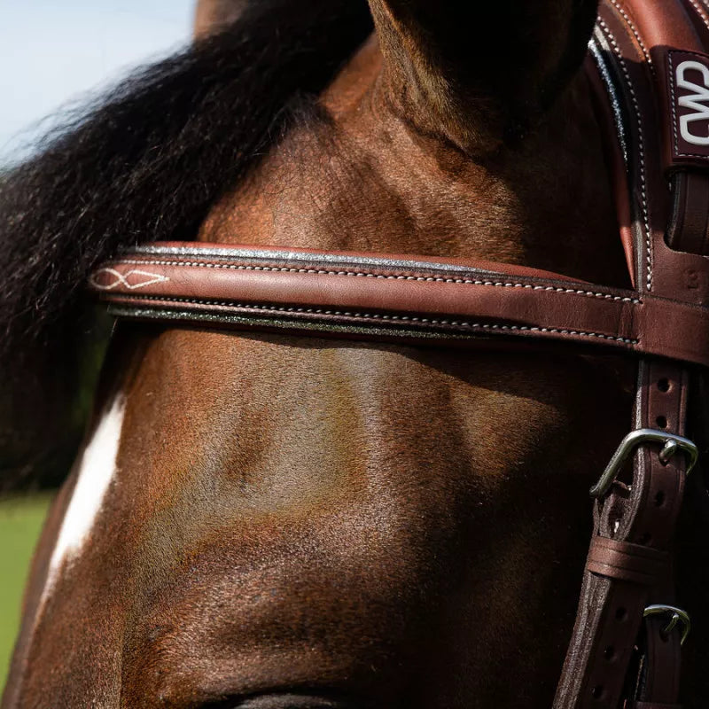 CWD Repair neushalster