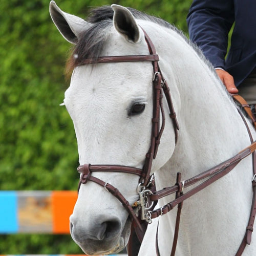 CWD Träns - Lead Sports AB