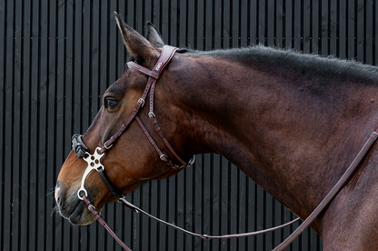 CWD Hackamore