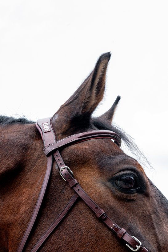 CWD Hackamore