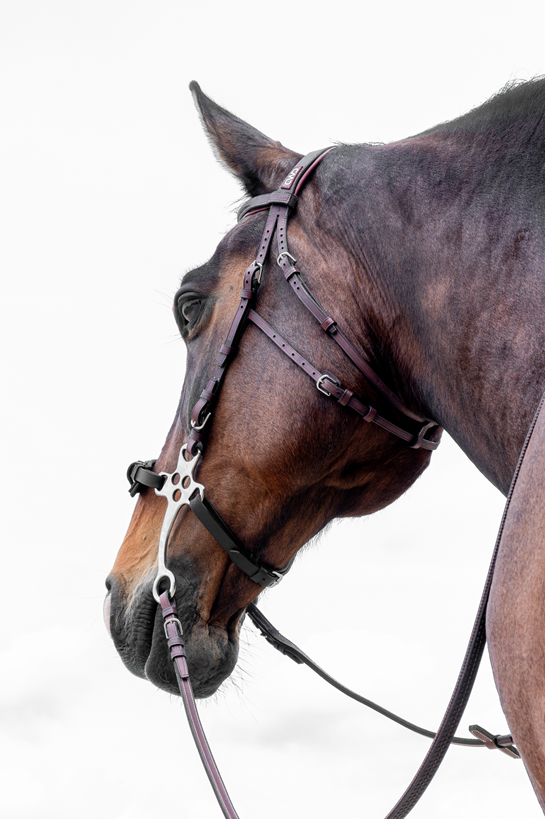 CWD Hackamore