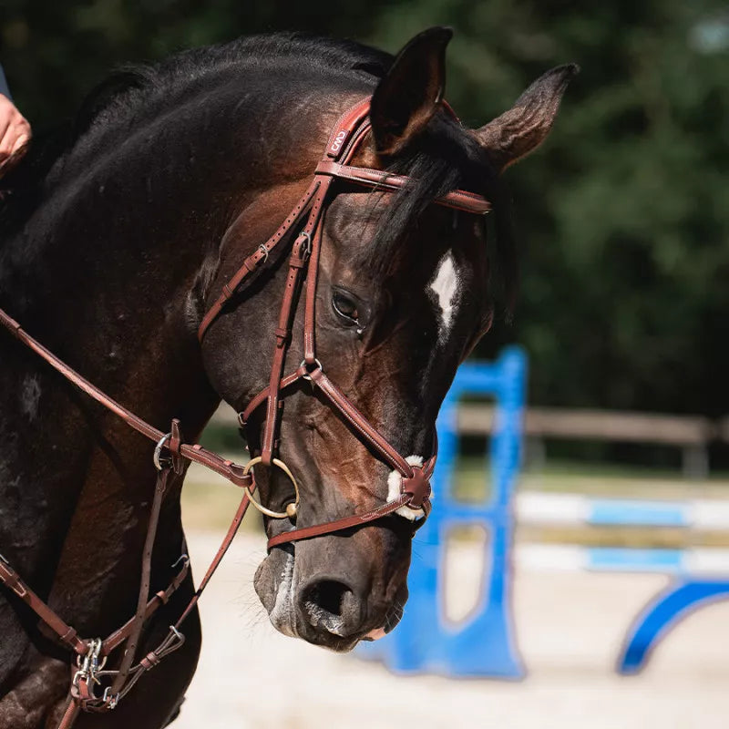 CWD Träns anatomiskt med mexikansk nosgrimma