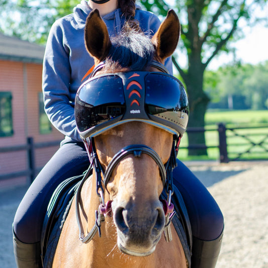 eQuick - eVysor - Ögonskydd till häst