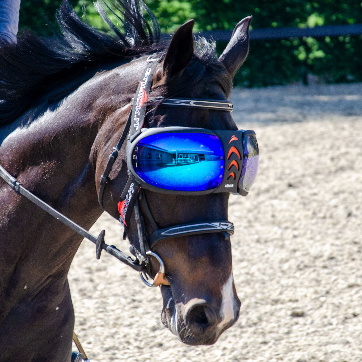 eQuick - eVysor - Ögonskydd till häst