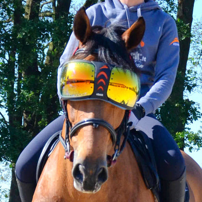 eQuick - eVysor - Ögonskydd till häst