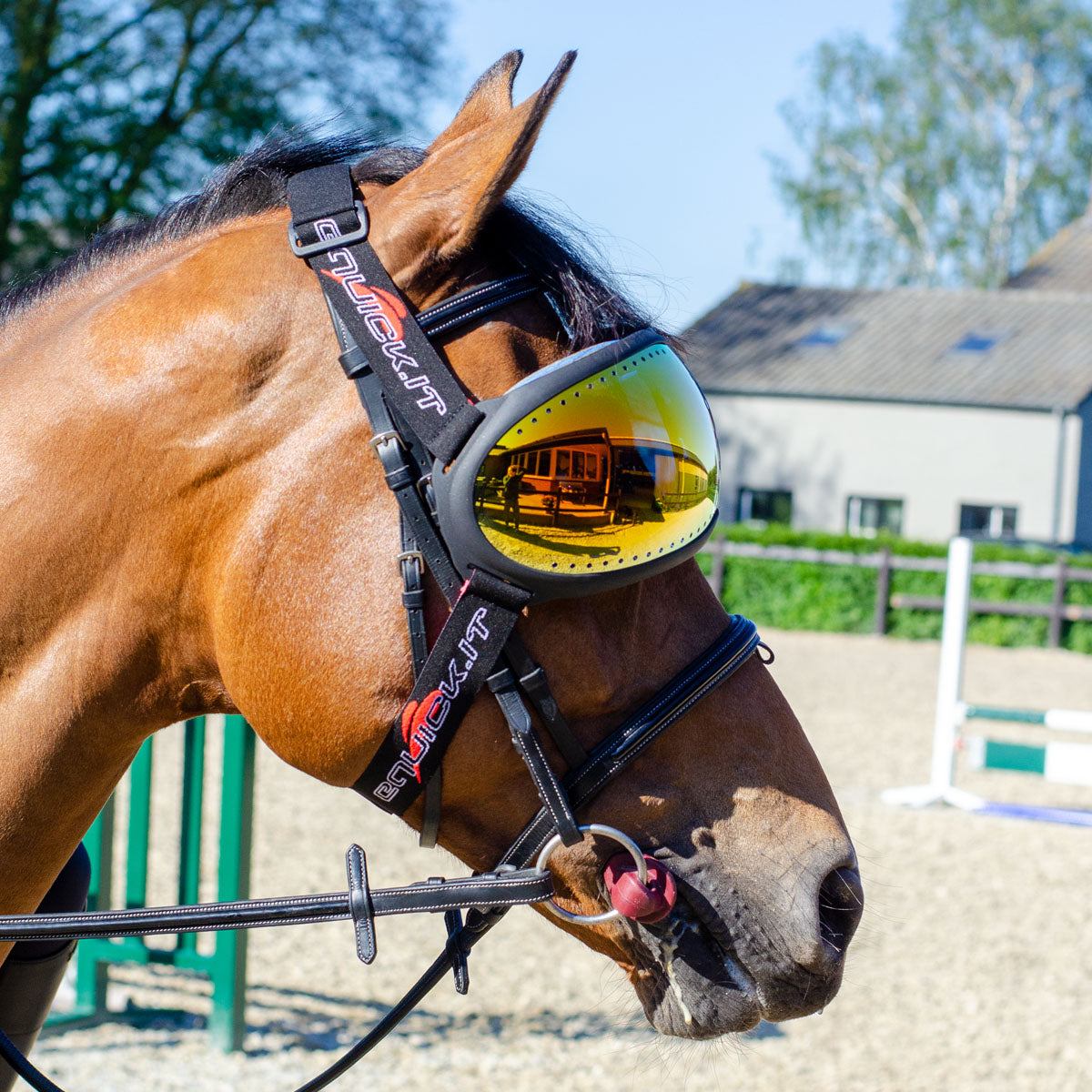 eQuick - eVysor - Ögonskydd till häst