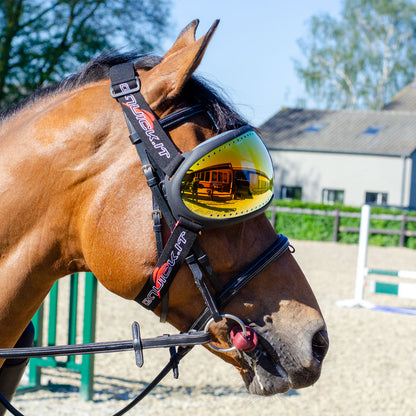eQuick - eVysor - Ögonskydd till häst