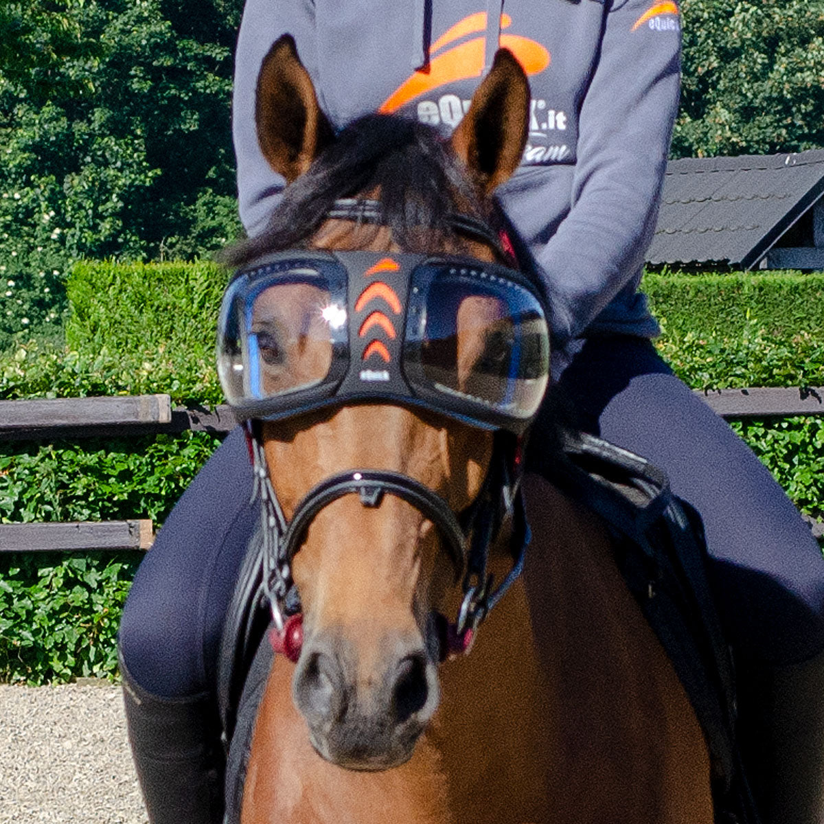 eQuick - eVysor - Ögonskydd till häst