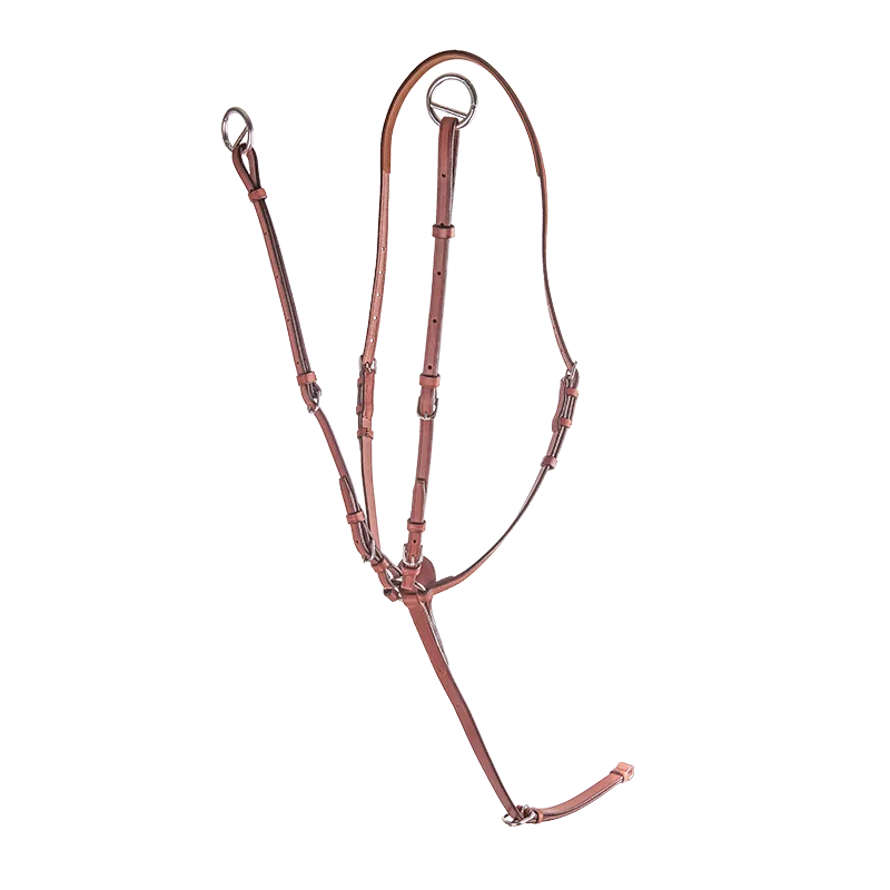 CWD Martingalarmar