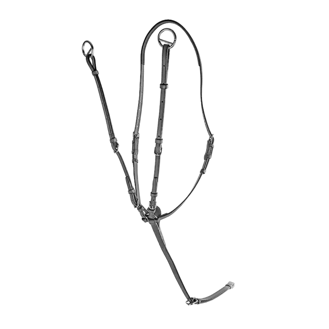 CWD Martingalarmar