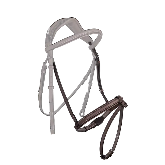 CWD Nosgrimma Aachen