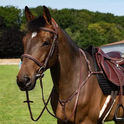 CWD Förbygel Sport Color